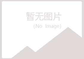 辰溪县冰夏建设有限公司